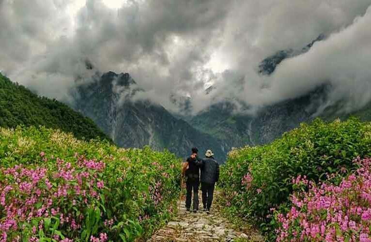 Uttarakhand Flower Festival