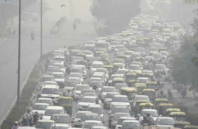 Preparation to Prevent Dust Pollution by Increasing Greenery by Intensive Plantation Along the Road