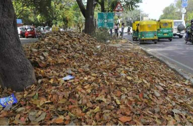 Chandigarh’s Horticulture, Plastic Waste to be Processed at New Integrated Plant