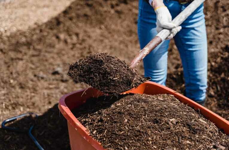 DDA Ready to Sell Vermi-Compost Through E-Commerce