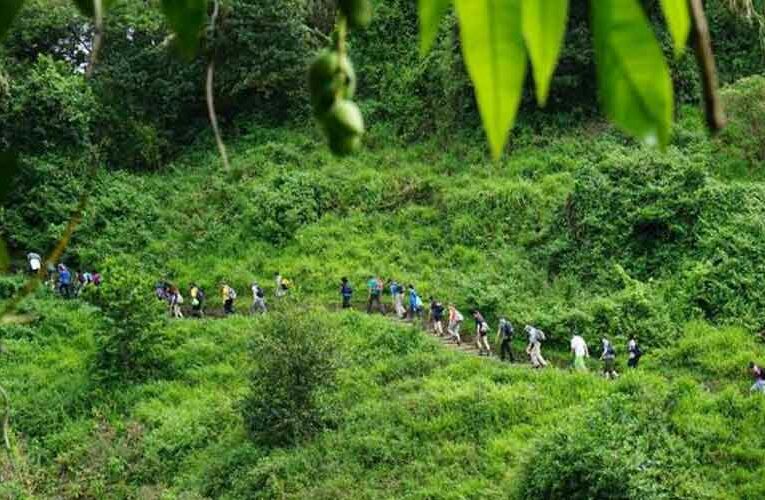 Asola Bhati Mines Forest Area to be Turned into an Eco-Tourism Destination