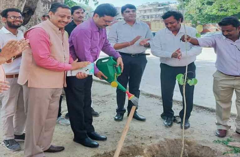 Plantation Drive at The Delhi Teachers University