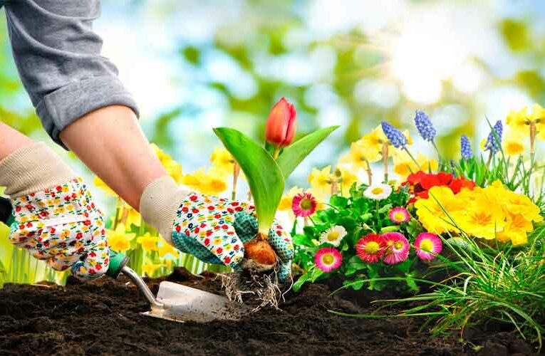 Children With Special Needs Benefit From Horticulture Therapy