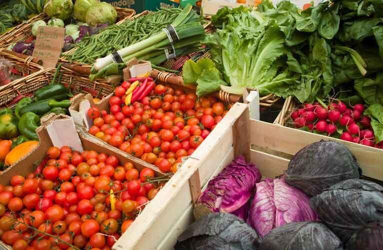 International Horticulture Market in India will Develop like France’s Rungis