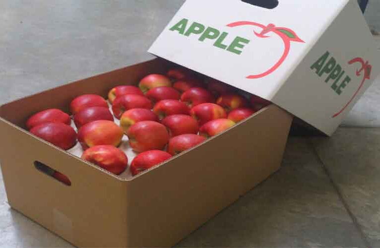 HP Horticulture Director Reports that No Apple Growers Claimed GST Reimbursement