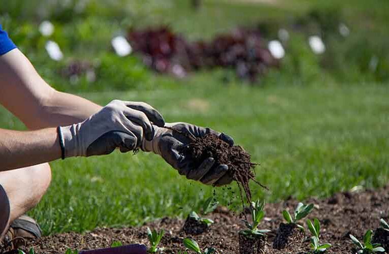 CRPF Personnel Receive Horticulture Training