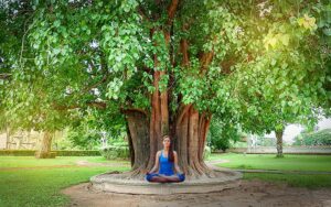 ASHVATTHA TREE