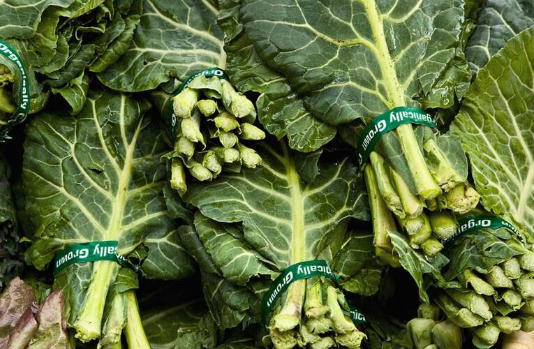 Collard greens: जुलाई में करें पौष्टिक पत्तेदार हरी सब्जी की खेती