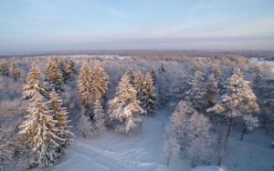 estonian_nature_winter