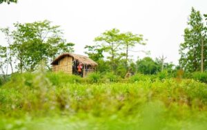 farm-house-village-india