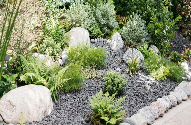 Rock Garden – An aesthetically attractive and natural in style