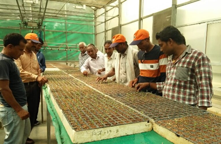 Specialized Training Program for US Embassy gardeners at Institute of Horticulture Technology, Greater Noida