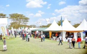 Last year photograph of Naivasha Horticultural Fair