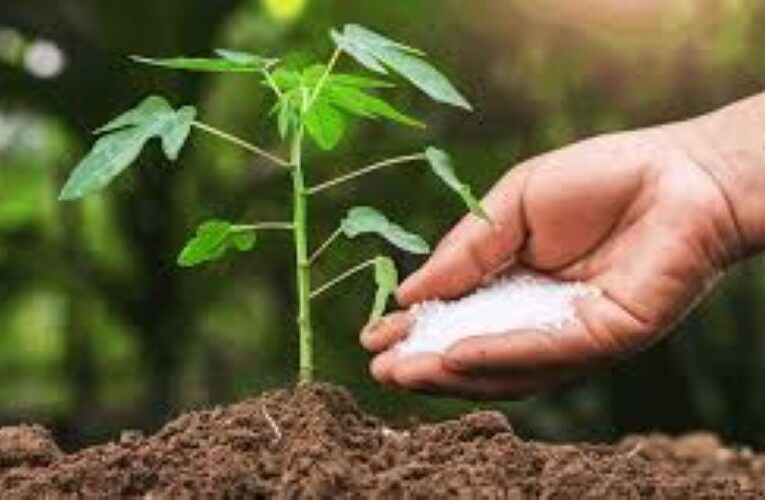 Yogi govt focuses on enhancing soil conservation through use of organic fertilizers