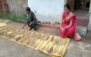 Every year this woman distributes 20 thousand medicinal plants for free