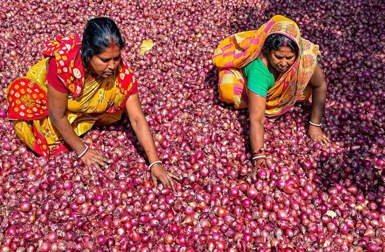 Onion Farmers Suspended Auction with Demands of Higher Rates