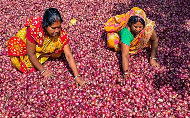 Onion Farmers Suspended The Auction in Nashik