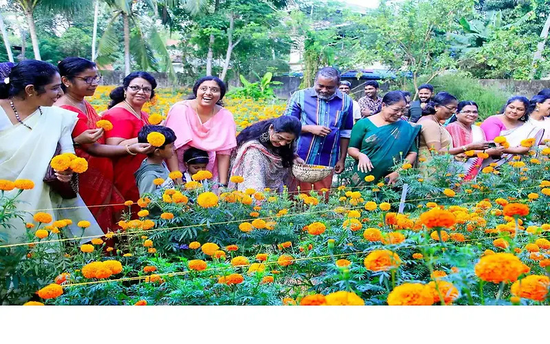 Garden in the Residence of P. Prasad