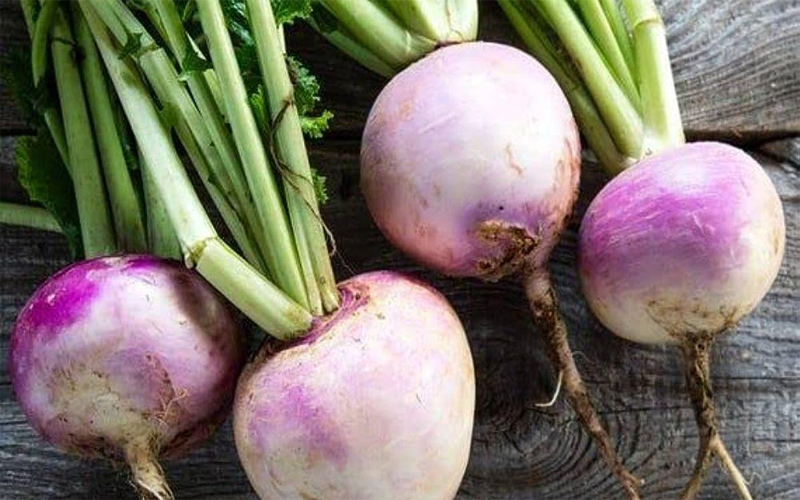 PTWG: If you want to cultivate turnip, then grow this variety, you will get good production