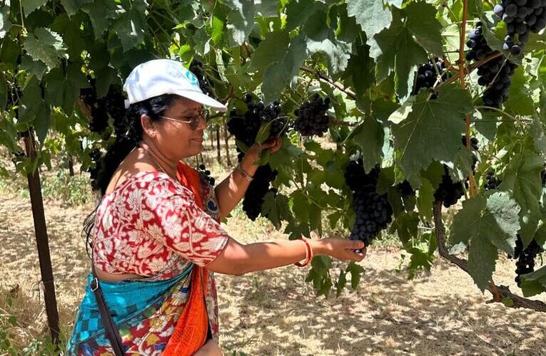 Telangana Horticulture Department on a 3-day visit to Israel to learn modern farming techniques