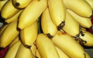 Nanjangud rasabale (banana)