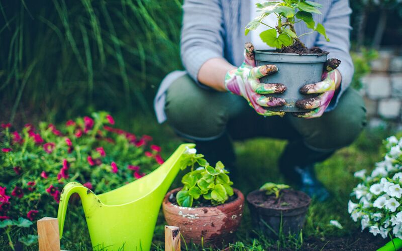 Mental health benefits of gardening