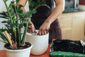 Applying fertilizers