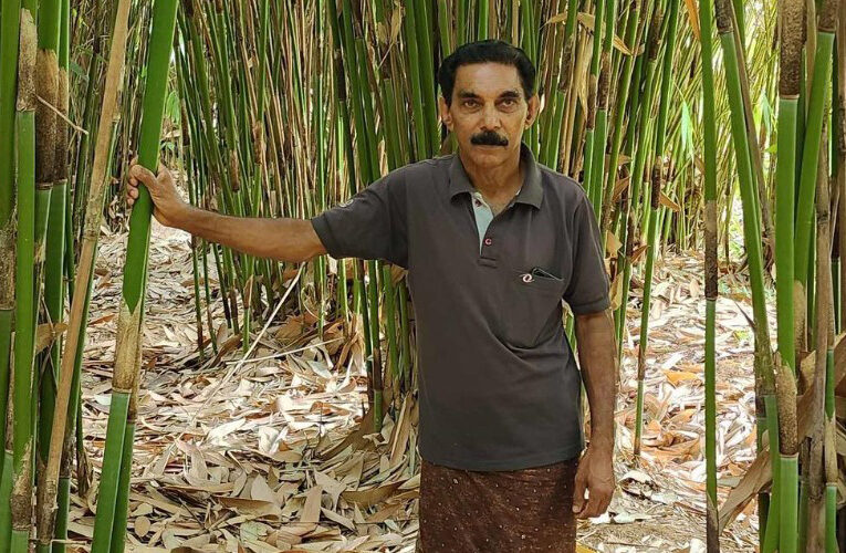 Bhaskaran, sets up Bambusetum model, solves the issue of desertification