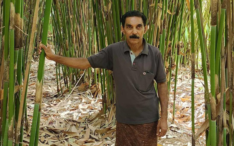 Bhaskaran sets up Bambusetum model to solve desertification