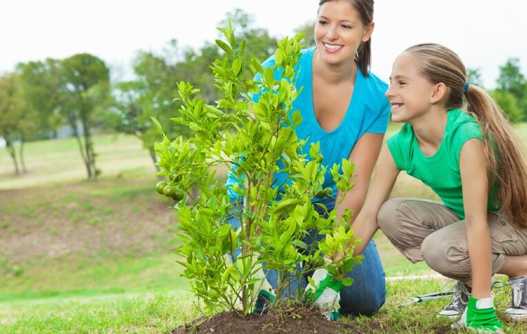 Birth of a girl is greeted here with planting of fruit-bearing trees