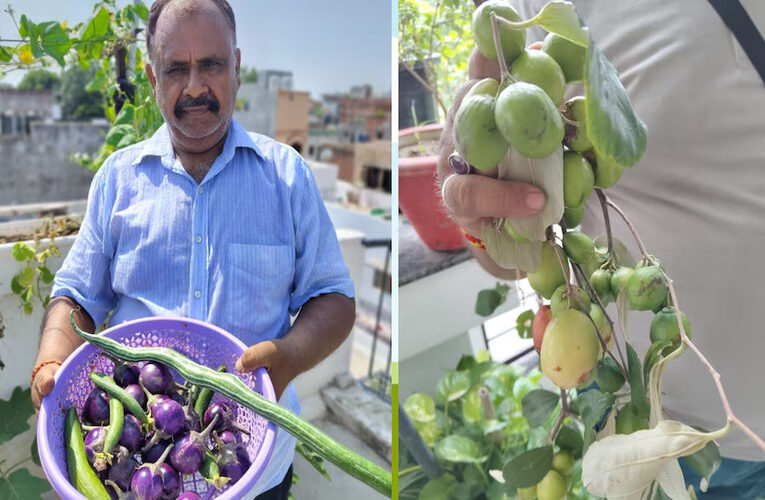 This Man from Lucknow Has Not Bought Vegetables from Market Past 30 Years