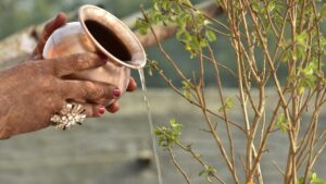 Watering and worshipping tulsi