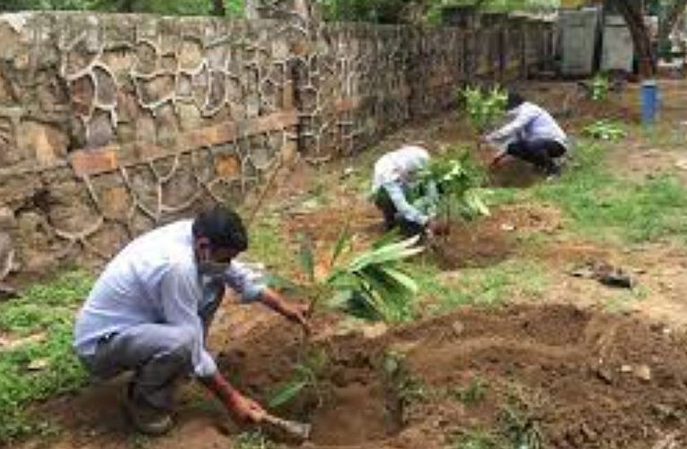 कृषकों की समस्याओं के निराकरण के लिये गौतम बुद्ध नगर में आज किसान दिवस का आयोजन