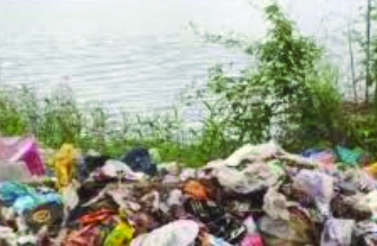 Rapid urbanization & biggest challenge: Bengaluru tackles plastic menace