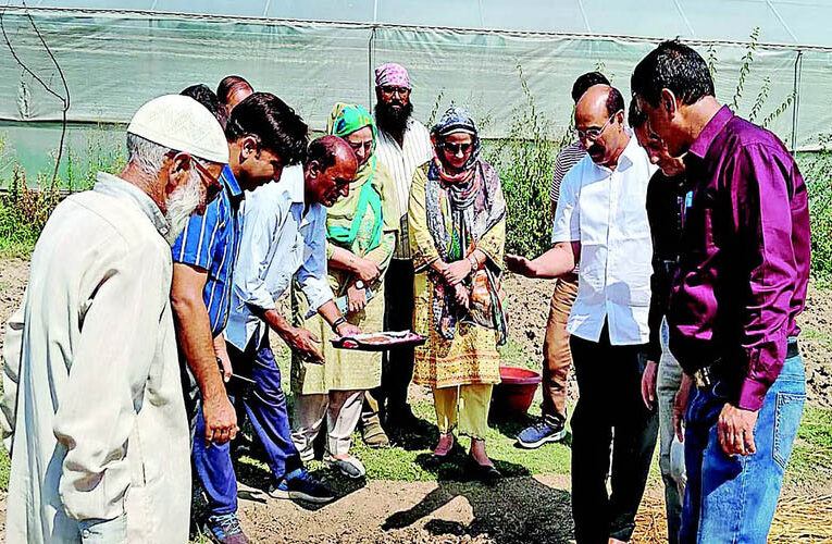 ‘Youth Should Embrace Floriculture’: Muhammad Iqbal, Director of Agriculture