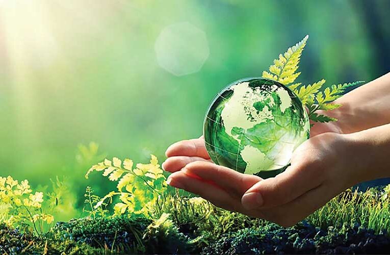 NURTURING NATURE: Rekindle global pursuit to adopt environment friendly practices