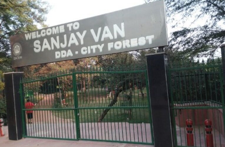 Delhi Residents Find Forest Bathing in Sanjay Van Relaxing