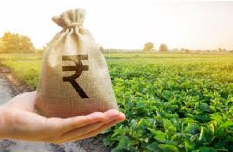 Agricultural exports registered robust growth in August 2023