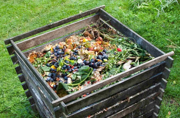 How to do Composting successfully- A Guide