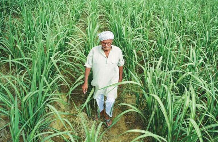 Indian Sugar is cheapest in the world, 94% cane dues of current season already paid to farmers