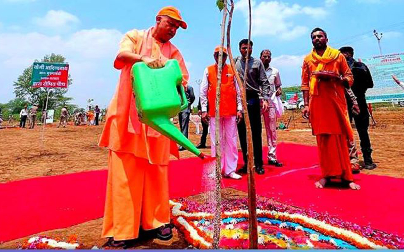 After planting 36.15 crore trees, the Yogi government will now celebrate the New Year of Forestry