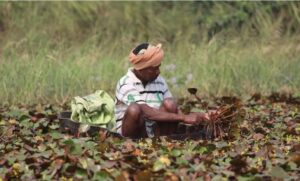 Yogi government is ready to fulfill every need of farmers