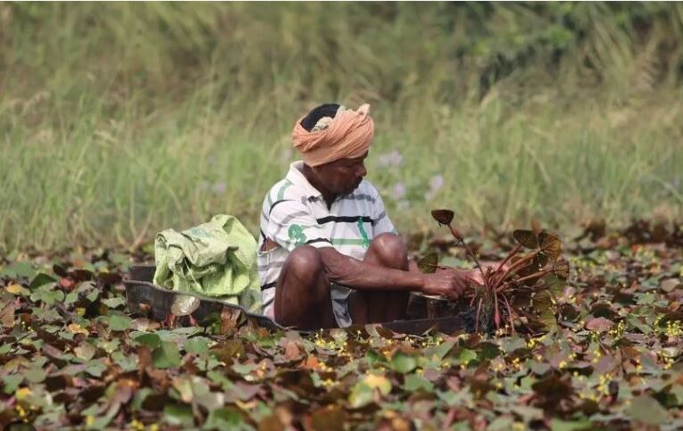 किसानों की हर जरूरत को पूरा करने को तत्पर योगी सरकार