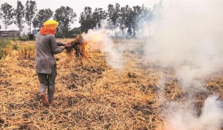 प्रदूषण पर प्रहार : पराली जलाने पर लगेगा जुर्माना, मुकदमा भी