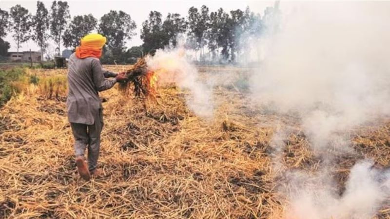 प्रदूषण पर प्रहार : पराली जलाने पर लगेगा जुर्माना, मुकदमा भी