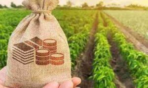 More than 19 lakh small, marginal and large farmers have subscribed to B-Pax