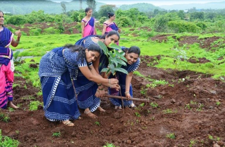 Women’s empowerment in agri-food systems crucial to increase resilience to climate change impacts