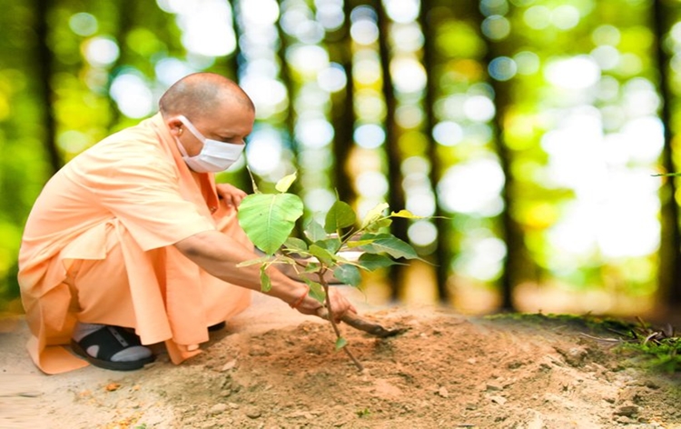 विगत 6 वर्षों में उप्र शासन ने 167 करोड़ पौधारोपण का विराट लक्ष्य प्राप्त किया