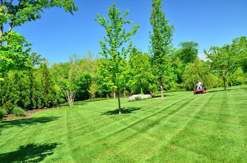 Yes, this grass can be irrigated with seawater for golf courses…