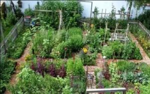 Enjoy organic vegetables by making a kitchen garden in the vacant space.